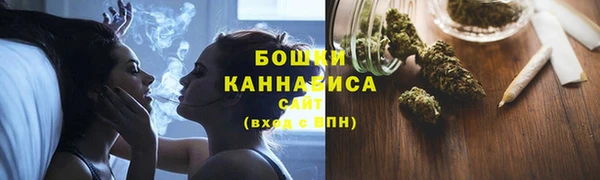 мдпв Надым