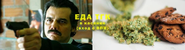 дживик Абаза