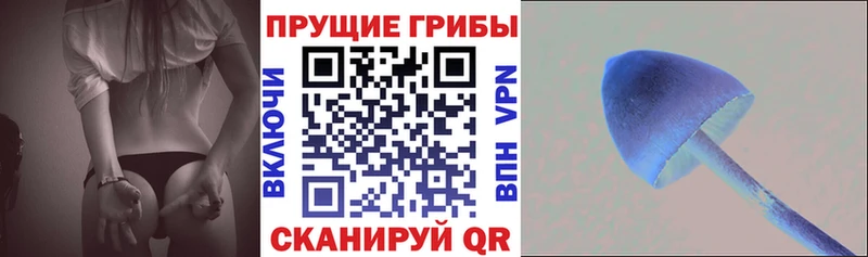Галлюциногенные грибы GOLDEN TEACHER Челябинск