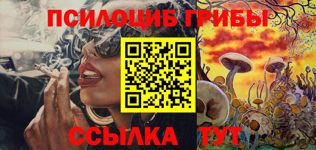 где продают наркотики  Вход с VPN  Псилоцибиновые грибы Psilocybine cubensis  Челябинск  Псилоцибиновые грибы Magic Shrooms 