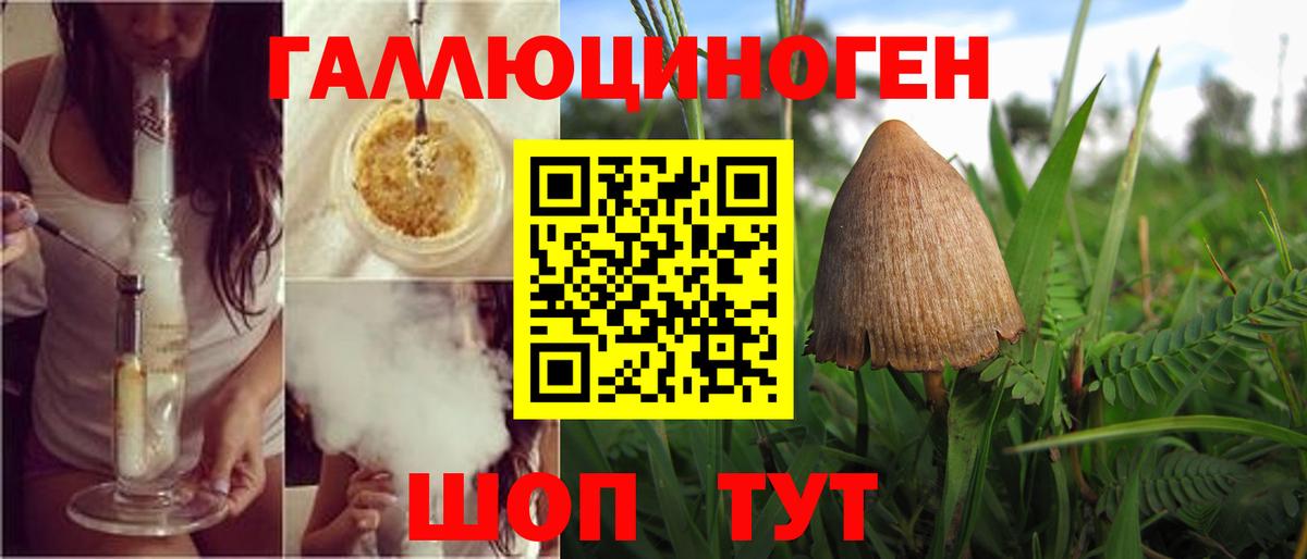 Псилоцибиновые грибы Psilocybe Челябинск
